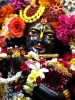 Krishna-Balaram-mandir_249