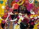 Krishna-Balaram-mandir_259