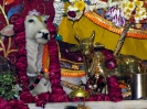 Krishna-Balaram-mandir_267