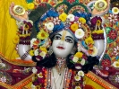 Krishna-Balaram-mandir_270