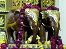 Krishna-Balaram-mandir_272