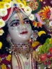 Krishna-Balaram-mandir_274