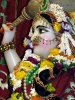 Krishna-Balaram-mandir_28