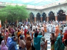 Krishna-Balaram-mandir_298