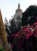 Krishna-Balaram-mandir_304