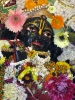 Krishna-Balaram-mandir_31
