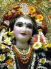 Krishna-Balaram-mandir_32
