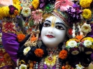 Krishna-Balaram-mandir_39