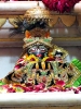Krishna-Balaram-mandir_51