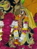 Krishna-Balaram-mandir_52