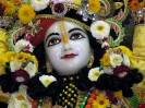 Krishna-Balaram-mandir_65