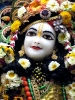 Krishna-Balaram-mandir_70