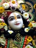 Krishna-Balaram-mandir_71