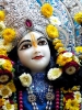 Krishna-Balaram-mandir_85