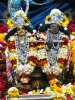 Krishna-Balaram-mandir_97