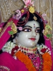 iskcon-jagannatha-puri_114