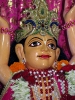 iskcon-jagannatha-puri_115