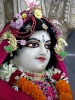 iskcon-jagannatha-puri_118