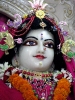 iskcon-jagannatha-puri_124