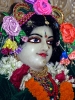 iskcon-jagannatha-puri_138