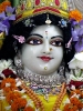 iskcon-jagannatha-puri_157