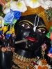 iskcon-jagannatha-puri_161