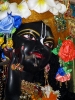 iskcon-jagannatha-puri_162