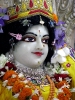 iskcon-jagannatha-puri_164