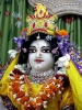 iskcon-jagannatha-puri_166