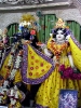 iskcon-jagannatha-puri_168