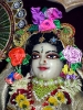 iskcon-jagannatha-puri_188