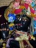 iskcon-jagannatha-puri_189