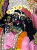 iskcon-jagannatha-puri_25