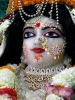 iskcon-jagannatha-puri_34