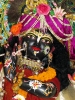 iskcon-jagannatha-puri_36