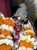 iskcon-jagannatha-puri_40
