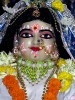 iskcon-jagannatha-puri_58