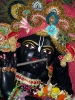 iskcon-jagannatha-puri_84