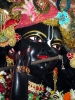 iskcon-jagannatha-puri_85
