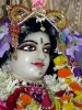 iskcon-jagannatha-puri_86