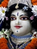 iskcon-jagannatha-puri_98